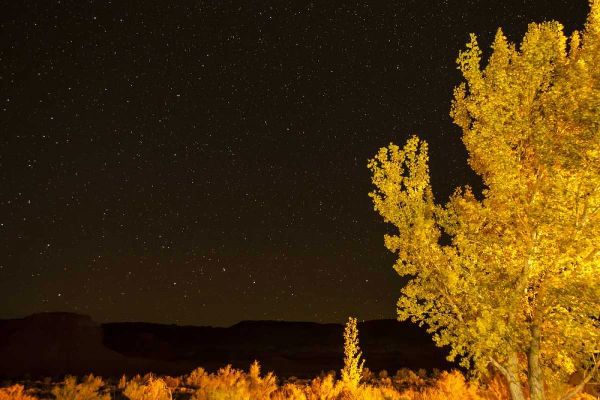 USA, Utah Stary night sky in autumn